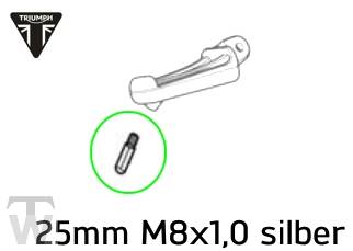 Fussrastenschleifnippel 25mm * (nur 2x lagernd) Street Triple ab FIN 560477