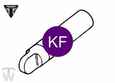 Lackstift IMPERIAL PURPLE