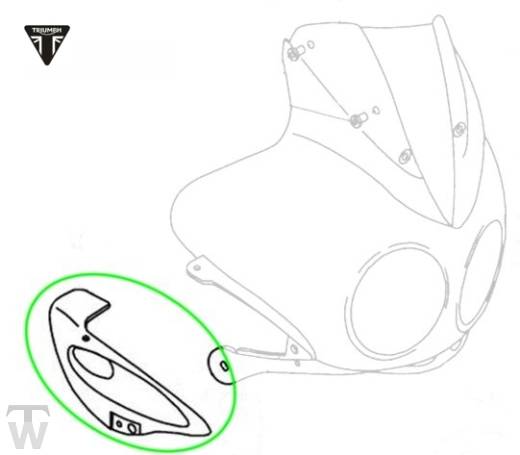 Blinkerhalter rechts Tiger 955i (Speiche)