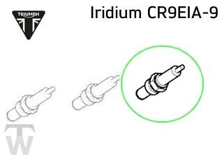 Zündkerze TR CR8EIA-9  Speed Triple S ab FIN735438