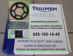 Kettensatz 525-102-16-42 (nur 1x lagernd) Speed Twin bis AE2310
