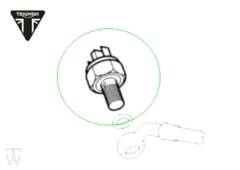 Bremslichtschalter hinten  America EFI bis FIN468389