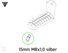 Fussrastenschleifnippel 15mm (nur 1x lagernd) Speed Twin bis FIN AE2310