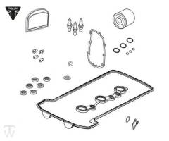 Servicekit (nur 2x lagernd) Tiger Explorer XC