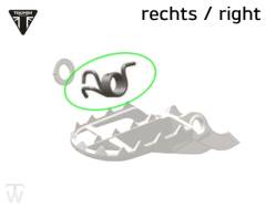 Fussrastenfeder rechts TF 250-X