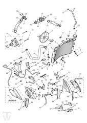 Cooling system - Speed Triple S from VIN867685