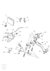 Motormanagement - Tiger XR ab FIN855532