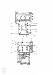 Motorgehäuse Schrauben ab FIN009873 - Trident
