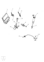 Motormanagement - Explorer XRx