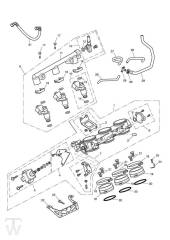 Injection - Speed Triple 1050 from VIN461332