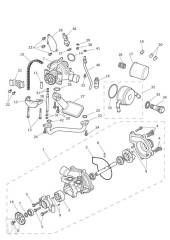 Oilpump Lubrication - Tiger 800