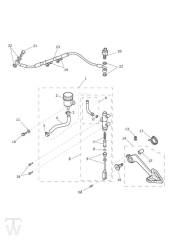 Master Cylinder Assy rear - Tiger 800 XC