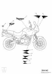 Decal - Tiger 955i Spoke