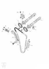 Camshafts Timing Chain - Tiger 955i Spoke