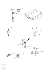 Engine Management - Tiger Sport up to VIN750469