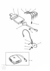 Engine Management - Daytona 750 & 1000