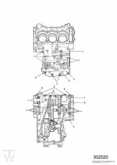 Crankcase Screws - Speed Triple 955i from VIN141872