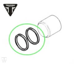 Reparatursatz Bremszange hinten (Dichtungen) Street Triple R bis FIN 560476