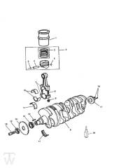 Kurbelwelle - Trophy ab 029156