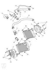Kühler - Tiger 1200 GT Explorer
