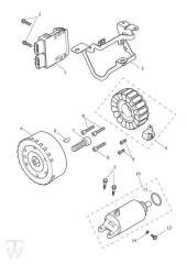 Anlasser Lichtmaschine - Trident 660