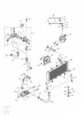 Kühlung - Tiger 885i