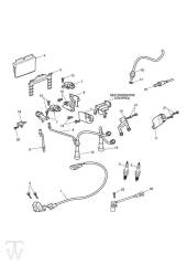 Motormanagement - Scrambler EFI