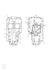 Crankcase Screws - Scrambler EFI