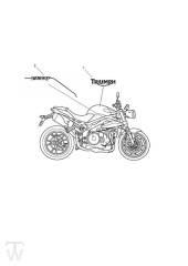 Decal up to VIN 657552 - Speed Triple R up to 735336