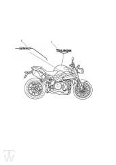 Dekor bis FIN 657552 - Speed Triple R bis 735336