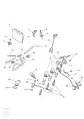 Motormanagement - Tiger XCx bis FIN 855531