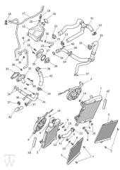 Kühlung - Tiger 900 GT Pro