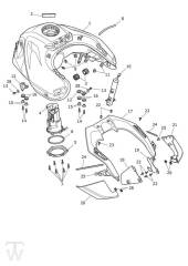 Fueltank - Tiger 900