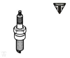 Zündkerze TR DPR8EA-9  Speed Triple 885/955 bis FIN141871