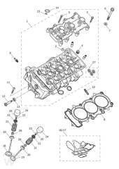 Zylinderkopf - Tiger 850 Sport