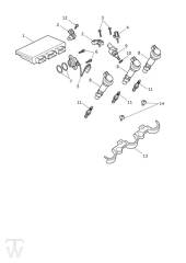 Engine Management - Tiger 1200 GT