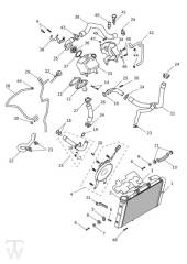 Kühlung - Tiger 660 Sport