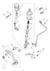 Hauptbremszylinder hinten - Tiger 660 Sport
