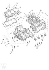 Crankcase - Speed Triple 1200 RS