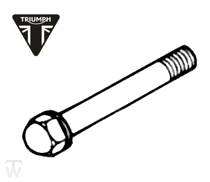 Front Axle Tiger T400 (Carburator)