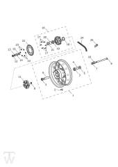 Hinterrad - Speed Twin RS 1200