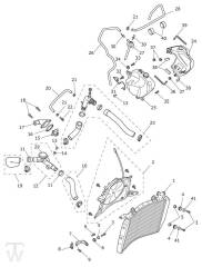 Kühlung - Speed Triple 1200 RX