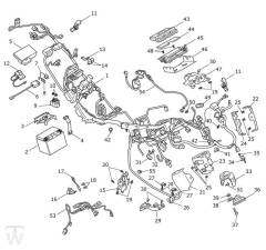 Hauptkabelbaum Elektrik - Tiger 1200 GT Explorer