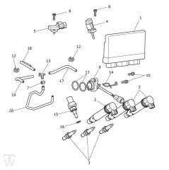 Motormanagement - Tiger 900 GT Pro ab VIN BP5373