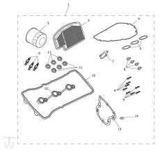 Servicekit Tiger 1200 Alpine ab AV5527