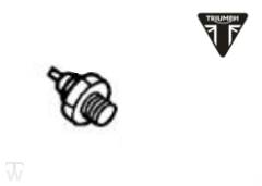 Öldruckschalter V2 Thunderbird 900