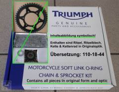 Chain & Sprocket Set 530-110-19-40 Trophy from VIN029156