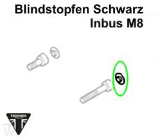 Blindstopfen Schwarz Street Triple R bis FIN 560476