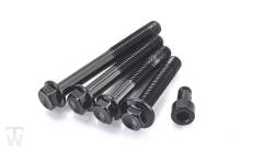Motordeckel Schrauben Kit schwarz (nur 1x lagernd) Scrambler 1200 XE ab AC8499